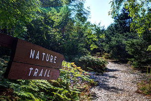 sign and nature trail